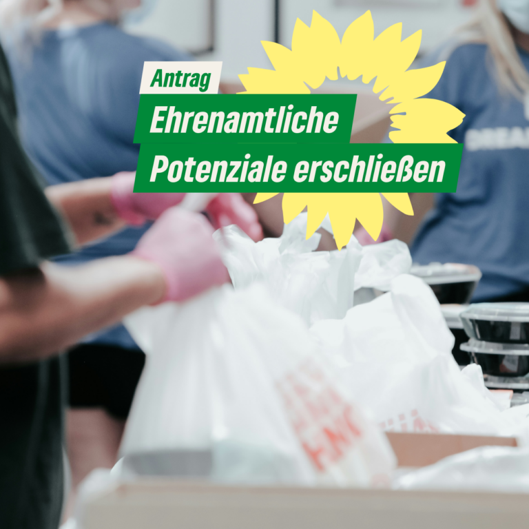 Ehrenamtliche Potenziale erschließen