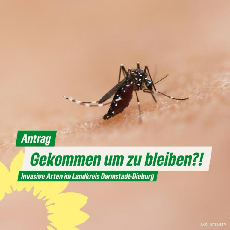 Gekommen um zu bleiben?! – Invasive Arten im Landkreis Darmstadt-Dieburg