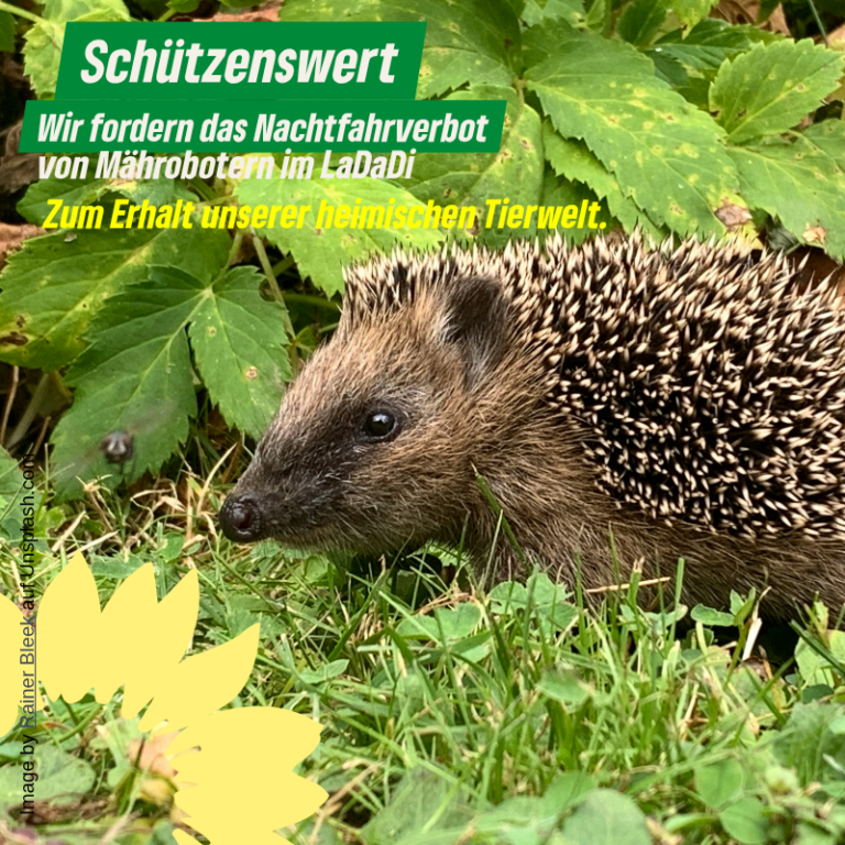Nachtfahrverbot für Mähroboter